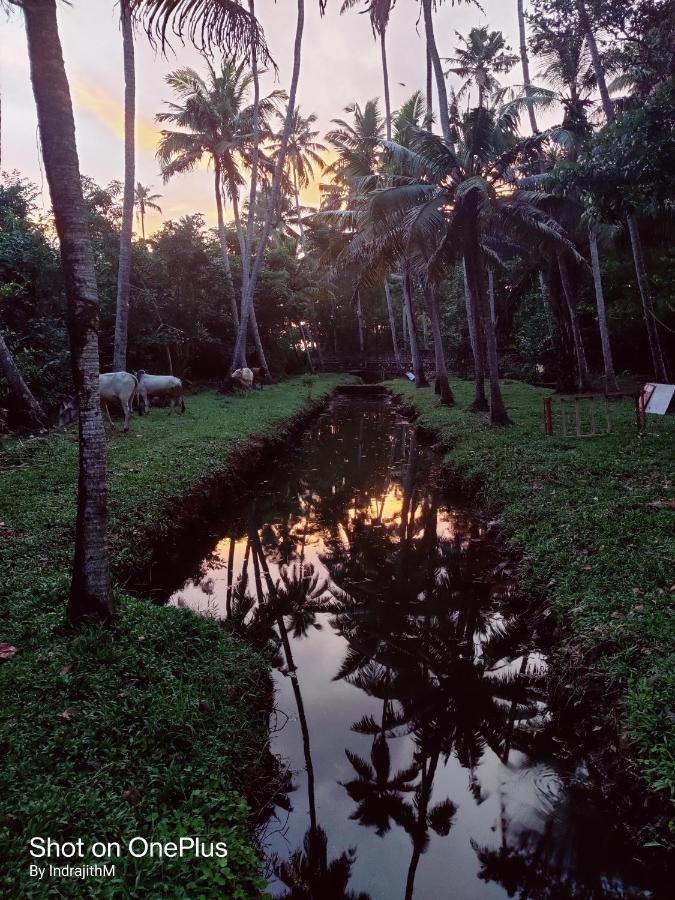 The Temple Tree Varkala Appartement Buitenkant foto