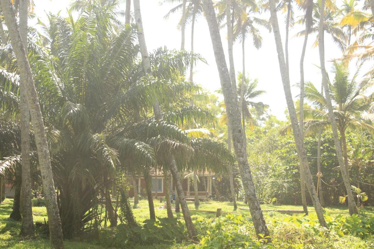 The Temple Tree Varkala Appartement Buitenkant foto