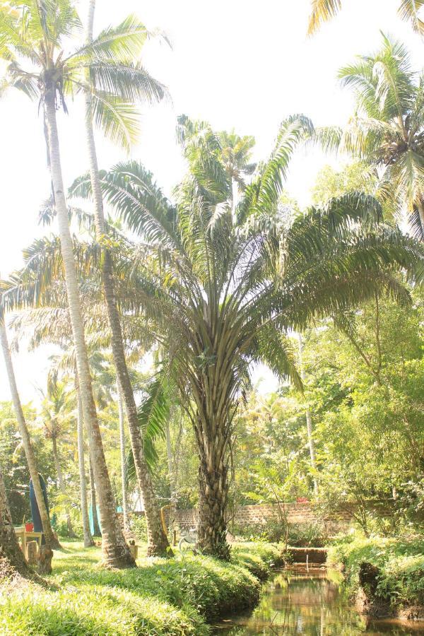 The Temple Tree Varkala Appartement Buitenkant foto